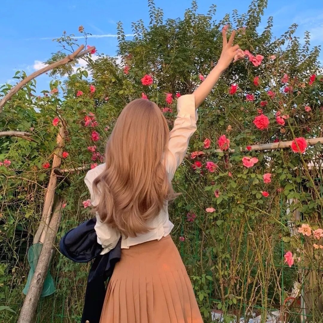 苹果村的苹果事儿